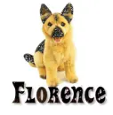 Florence 