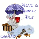 chrissi