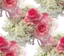 Glitter Graphics-Backgrounds