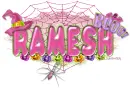 Ramesh-Pink Halloween Spider