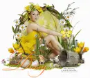 Daisy