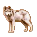 Wolf avatar!!!!!!!