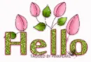 Hello