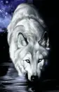Wolf Clipart!