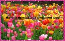 Blessed And Beautiful Day