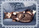 Have a pleasant rest!