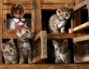 doll and kittens 