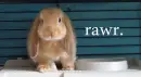 rawr.