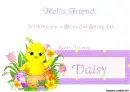 Daisy