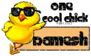 Ramesh