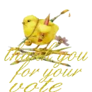 thank you for your vote