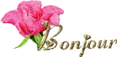 Bonjour!