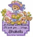 Shakela