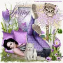 sweet spring