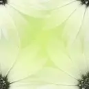 Seamless light green flower