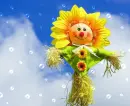 sunshine day