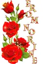 Norine