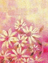 Background - flowers -