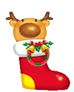 Deer in Socks
