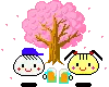 Dumpling tree