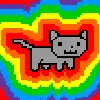 Rainbow cat
