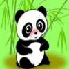Panda love