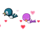 Love birds