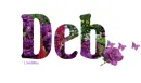 Deb