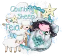 Counting Sheep