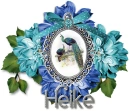 Peacocks - Heike
