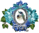 Peacocks - Fran