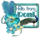 Peacock - Roni