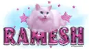 Ramesh-Pink cute Cat