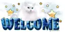 Welcome-Cat's Heaven