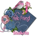 Pink & denim - Shakela