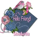 Pink Denim Shakela