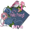 Pink & Denim - Jaya
