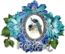 Peacocks - Ramesh