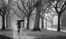 Run in the rain