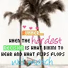 summer