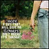want a guy