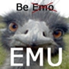 Emu