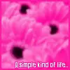 simple kind of life