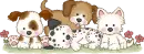 puppys line
