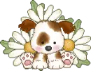sweet puppy