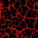 bloodFractured