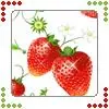 Strawberries - av