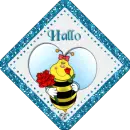 Hello