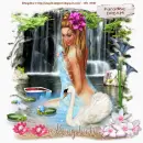 paradise dream