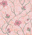 Background - Pink Floral